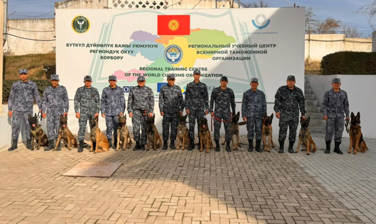 Приложение e110775f-701a-4335-8269-eb0b46e4157c.png